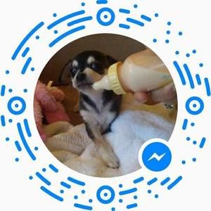 Meet your Posher, Tam